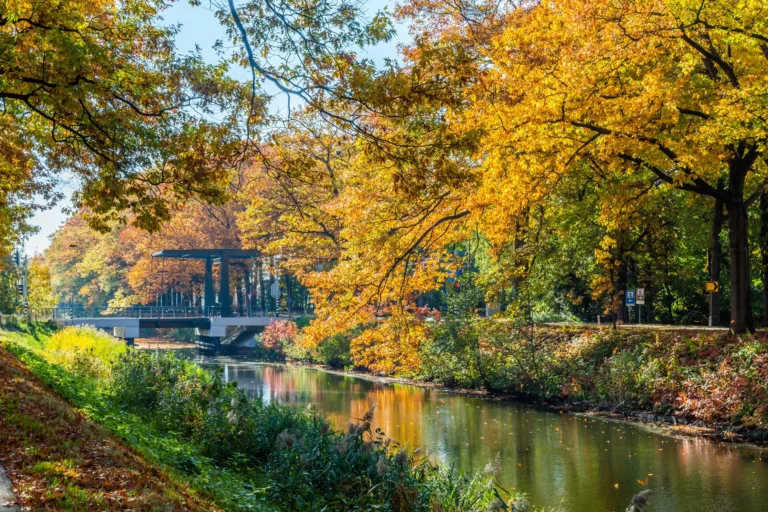 Herfst aan het Apeldoorns Kanaal