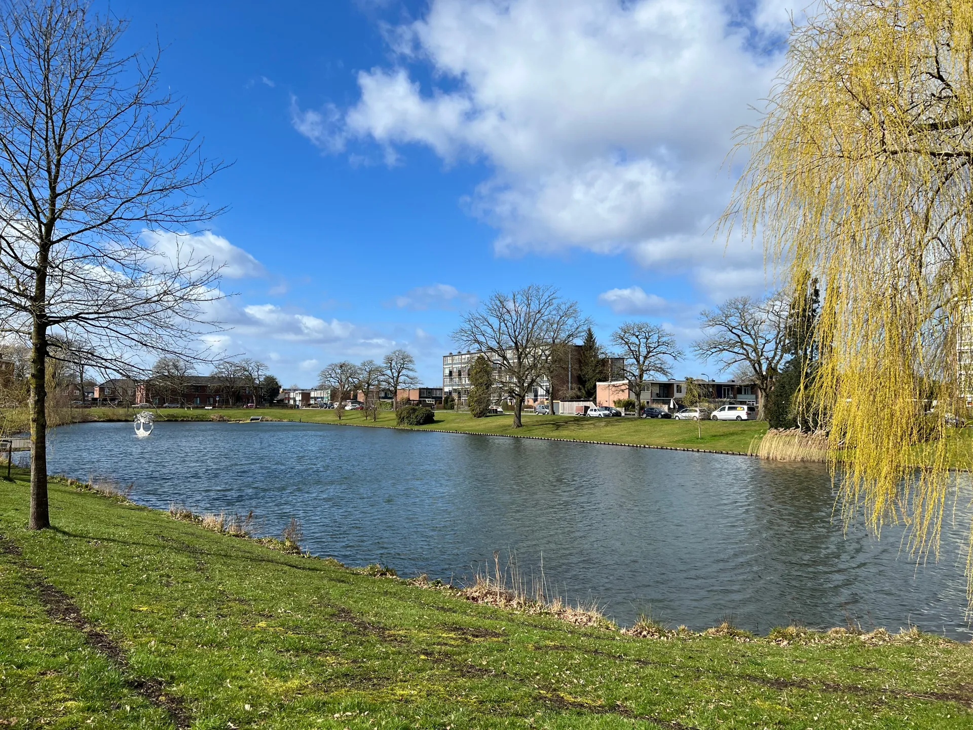 Vijver in een Apeldoornse woonwijk